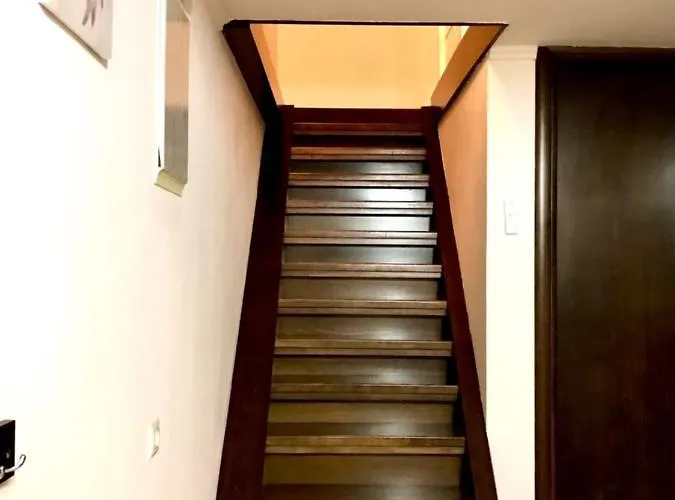 Seadream Apartment,50m From The 아파트 *