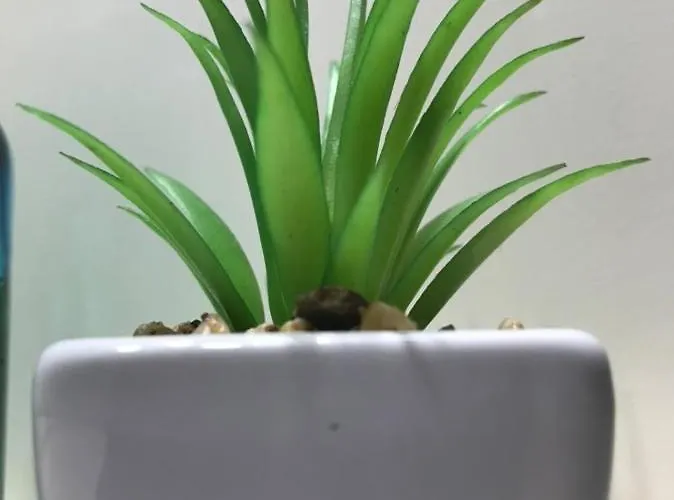 아파트 Seadream Apartment,50m From The 팔리라키